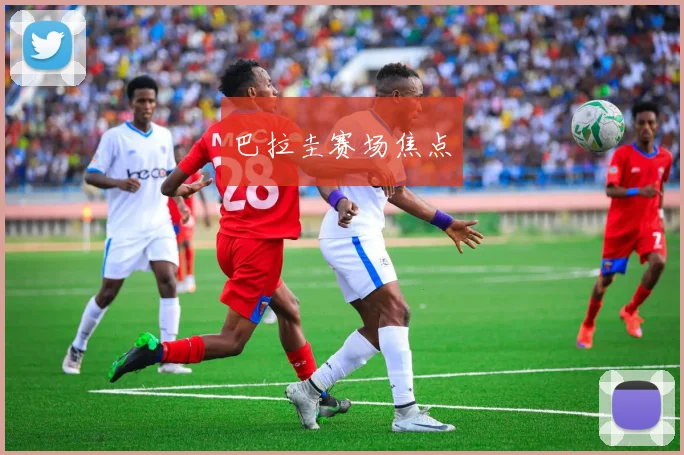 巴拉圭赛场焦点